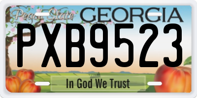 GA license plate PXB9523