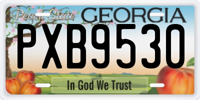 GA license plate PXB9530