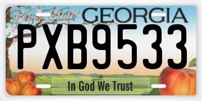 GA license plate PXB9533