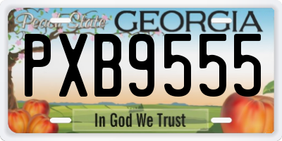 GA license plate PXB9555