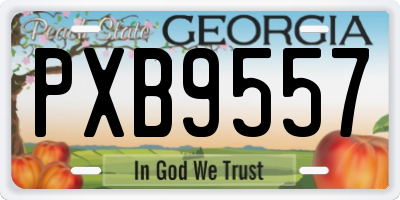 GA license plate PXB9557