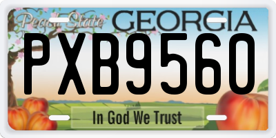 GA license plate PXB9560