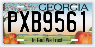 GA license plate PXB9561