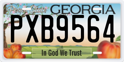 GA license plate PXB9564