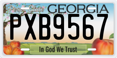 GA license plate PXB9567
