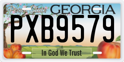 GA license plate PXB9579