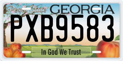 GA license plate PXB9583