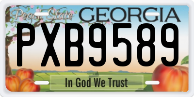GA license plate PXB9589