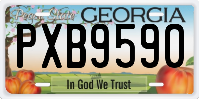 GA license plate PXB9590