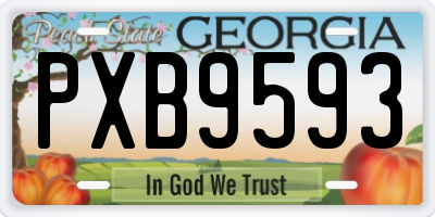 GA license plate PXB9593