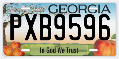 GA license plate PXB9596