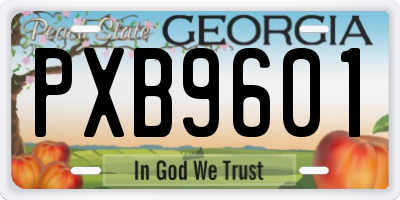 GA license plate PXB9601