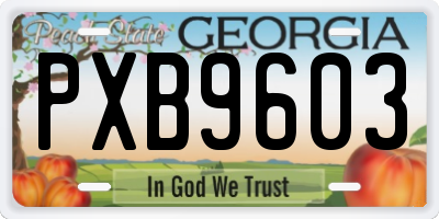 GA license plate PXB9603