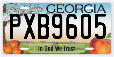 GA license plate PXB9605