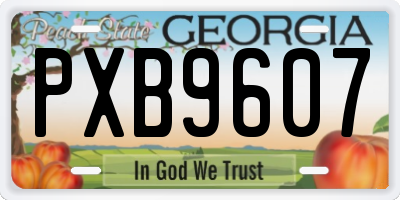 GA license plate PXB9607