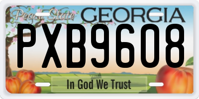 GA license plate PXB9608