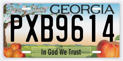 GA license plate PXB9614