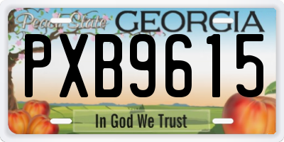 GA license plate PXB9615