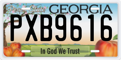GA license plate PXB9616