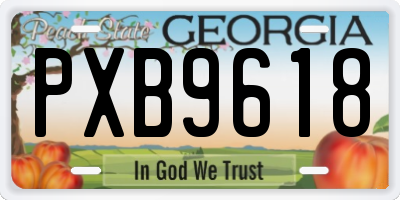 GA license plate PXB9618