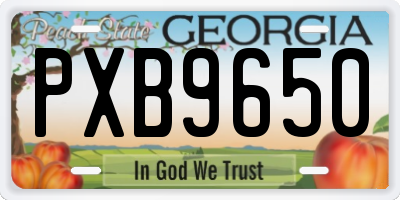 GA license plate PXB9650