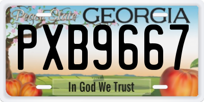 GA license plate PXB9667