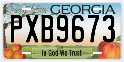 GA license plate PXB9673