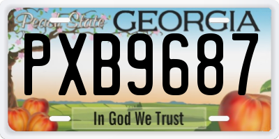 GA license plate PXB9687