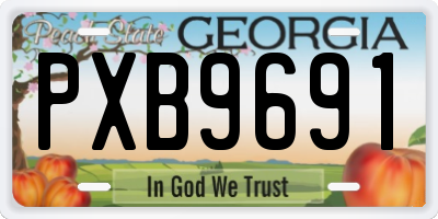 GA license plate PXB9691
