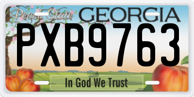 GA license plate PXB9763