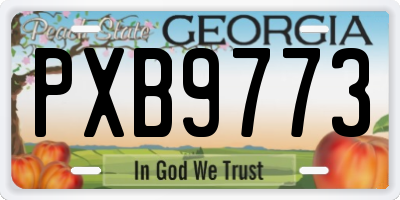 GA license plate PXB9773