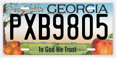 GA license plate PXB9805