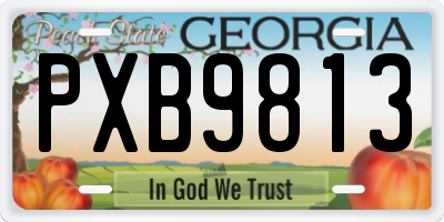 GA license plate PXB9813