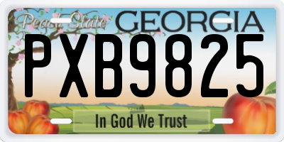 GA license plate PXB9825
