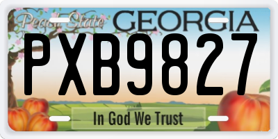 GA license plate PXB9827