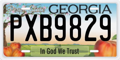 GA license plate PXB9829