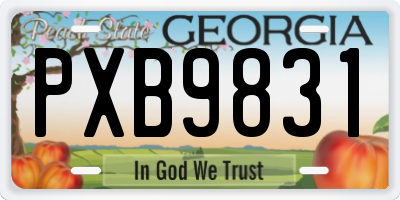 GA license plate PXB9831