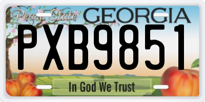 GA license plate PXB9851
