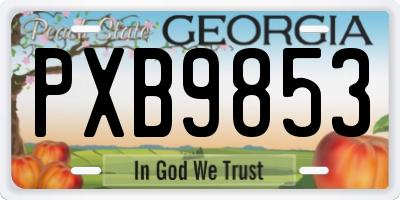 GA license plate PXB9853