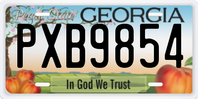 GA license plate PXB9854