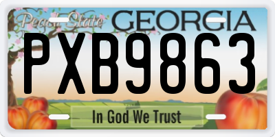 GA license plate PXB9863