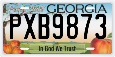 GA license plate PXB9873