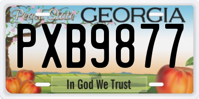 GA license plate PXB9877