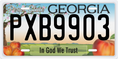 GA license plate PXB9903