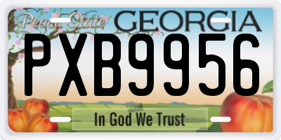 GA license plate PXB9956