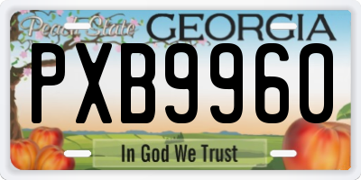 GA license plate PXB9960