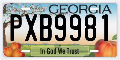 GA license plate PXB9981