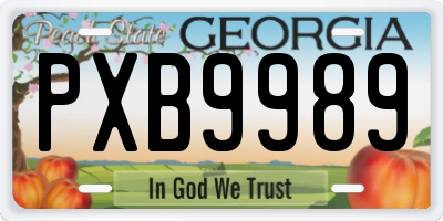 GA license plate PXB9989