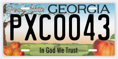 GA license plate PXC0043