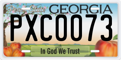 GA license plate PXC0073